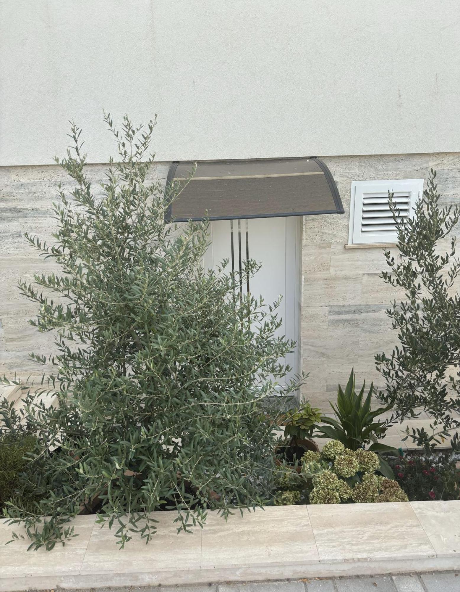 Apartment Regina Regina With Swimming Pool *